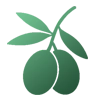 دسته بندی زیتون